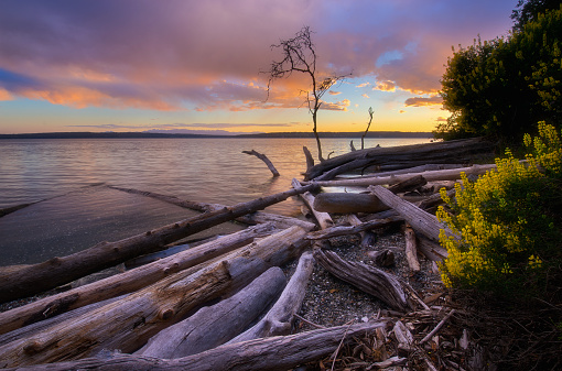 Camano Island State Park is a publicly owned park in Camano Island